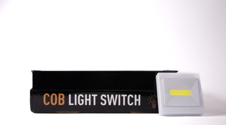 Portable light COB